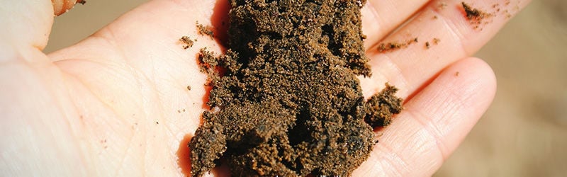 Sandy soil