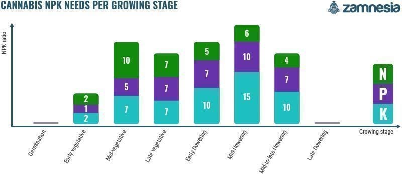 Cannabis NPK Needs Per Growing Stage