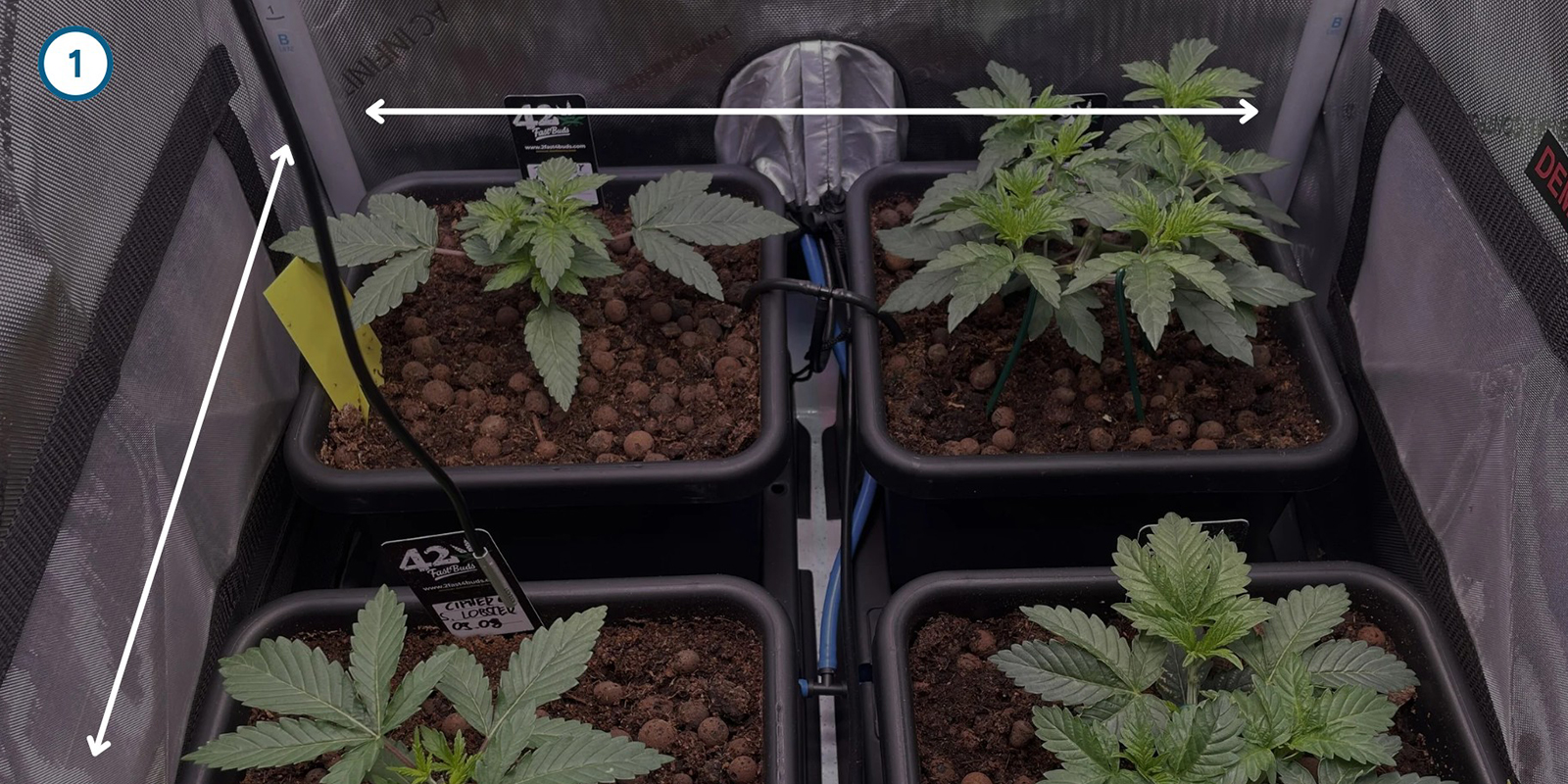 ScrOG Step-by-step: Installing the screen ScrOG Step-by-step: Installing the screen