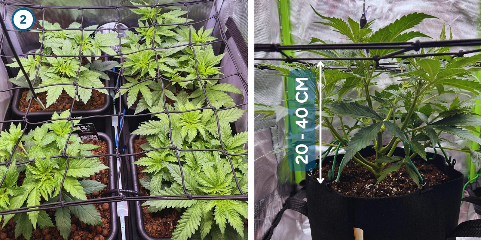 ScrOG Step-by-step: Installing the screen ScrOG Step-by-step: Installing the screen