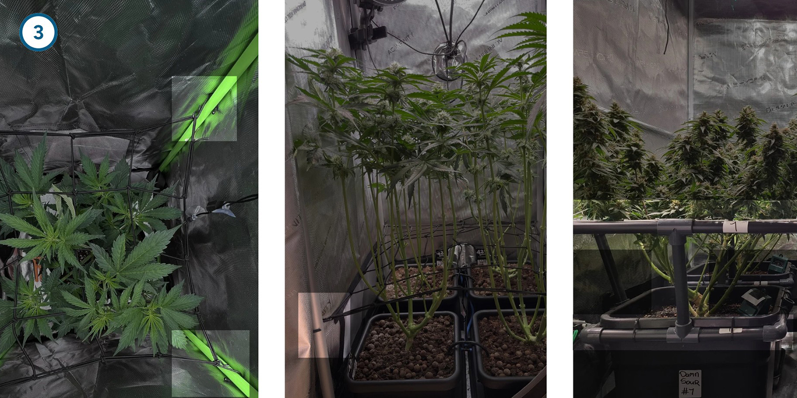 ScrOG Step-by-step: Installing the screen ScrOG Step-by-step: Installing the screen