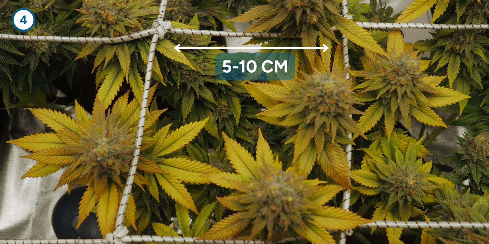 ScrOG Step-by-step: Installing the screen ScrOG Step-by-step: Installing the screen