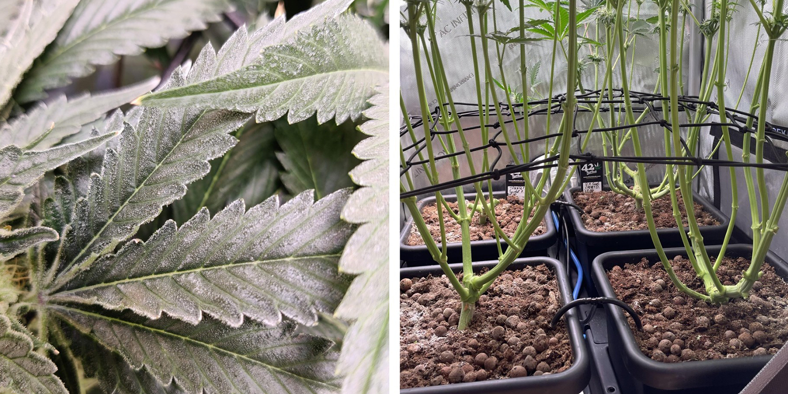 Airflow blockages Airflow blockages