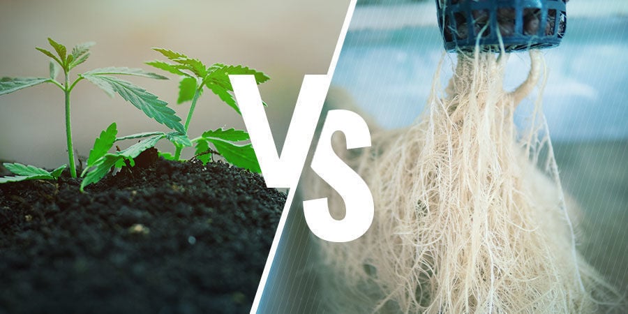 NPK: Soil vs Hydroponics