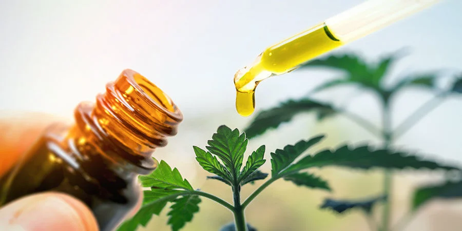 Cannabis Oil