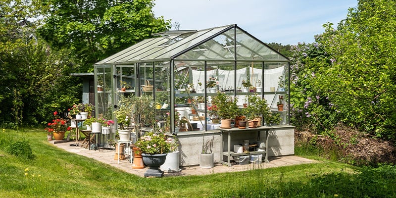 Erect a greenhouse