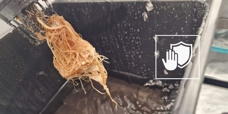 Preventing root rot in the future