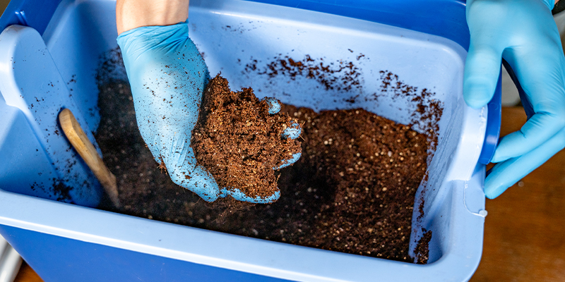 Preparing coco coir for cannabis cultivation