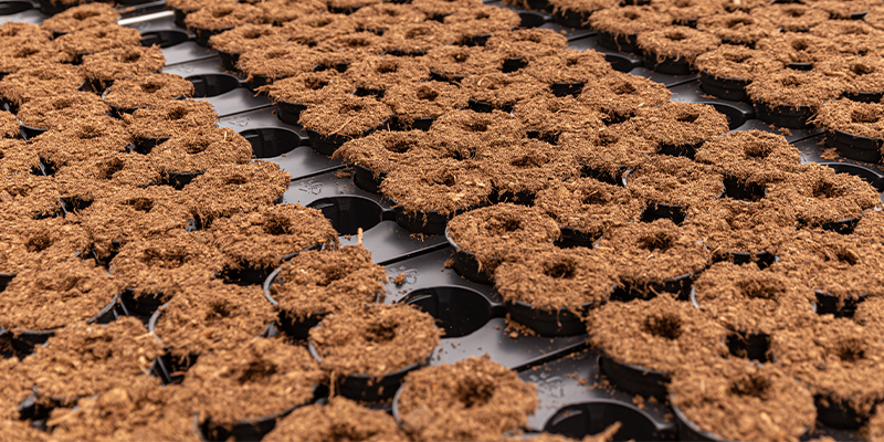 Types of coco coir