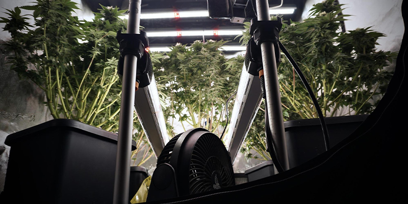 Optimising environmental conditions