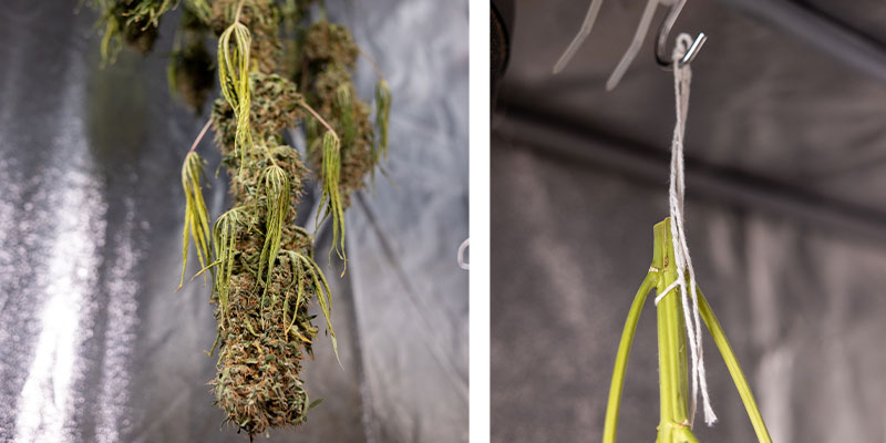 Hang drying