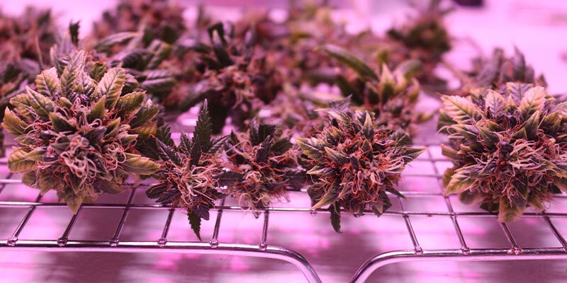 Using a drying rack