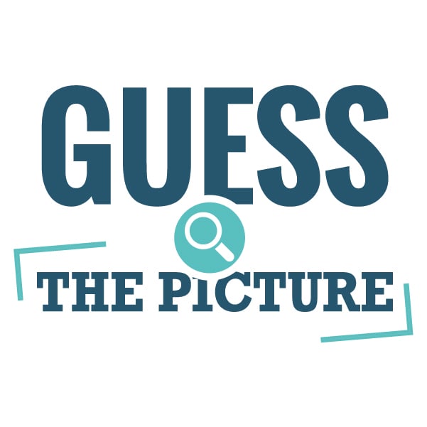 Guess the Picture - Zamnesia