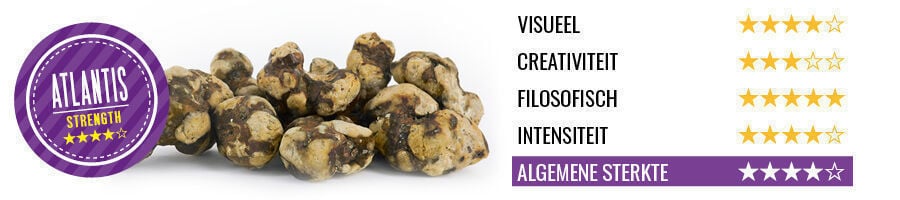 Magic Truffels Atlantis