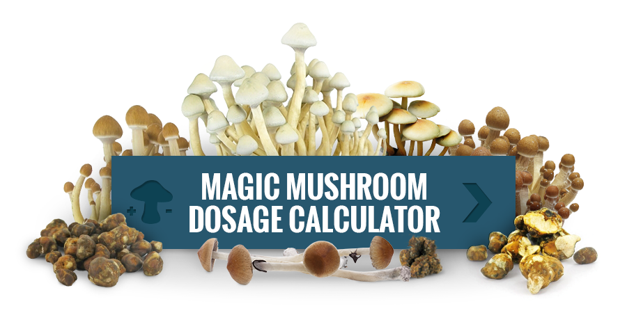 Use Our Magic Mushrooms Dosage Calculator