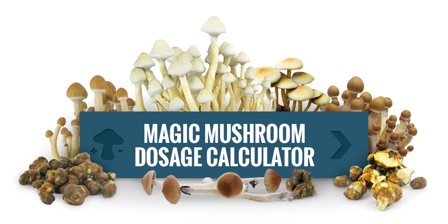 Mushroom Dosage Chart