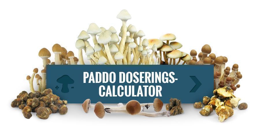 Gebruik Onze Paddo Doseringscalculator Gebruik Onze Paddo Doseringscalculator