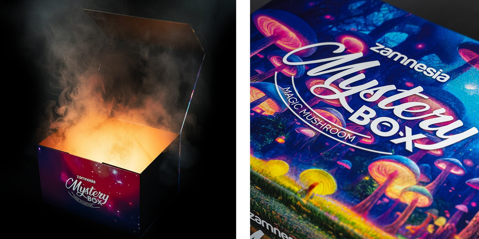 Magic Mushroom Mystery Box: l’esperienza definitiva di Zamnesia Magic Mushroom Mystery Box: l’esperienza definitiva di Zamnesia