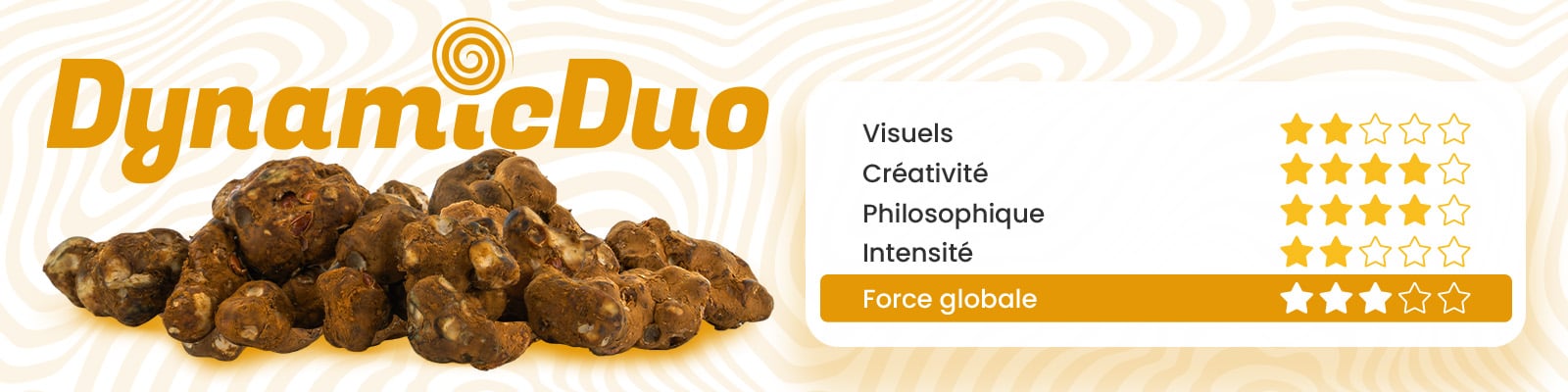 Dynamic Duo