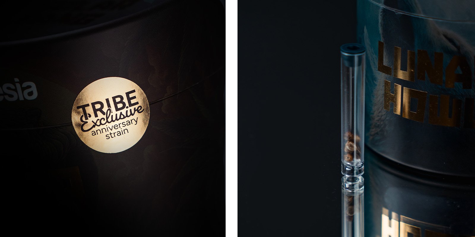 Aroma, sabor y efectos de la Lunar Howl: Una delicia aromática con notas dulces y de gasolina
