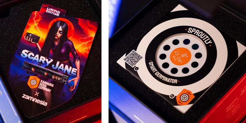 What's in the Box? What's in the Box?