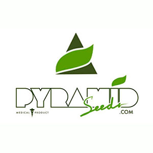Risultati immagini per banche del seme canapa PYRAMID