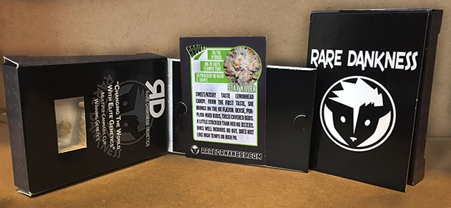Inside packaging Rare Dankness Inside packaging Rare Dankness