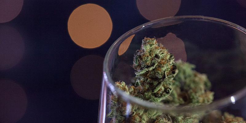 Comment Brasser Du Vin De Cannabis