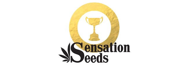 Awards Sensation Seeds Awards Sensation Seeds