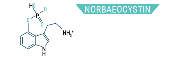 Norbaeocystin Norbaeocystin