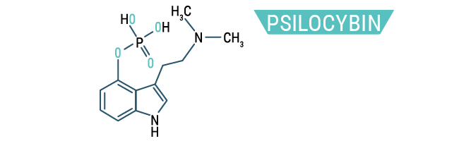 Psilocybin Psilocybin