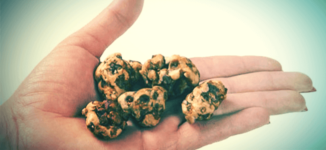 What are magic truffles?
