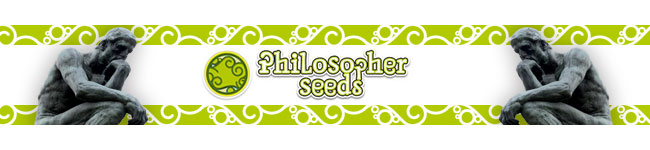 Philosopher Seeds Philosopher Seeds