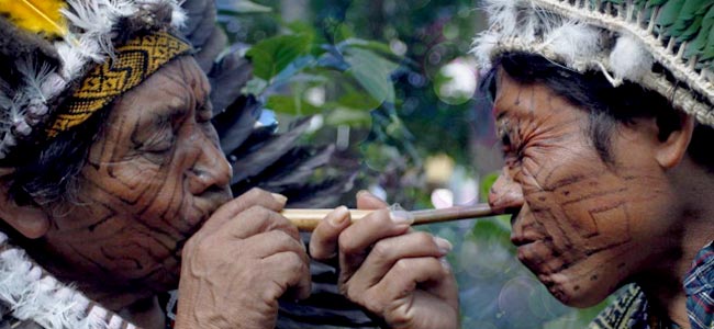 Rapé Is Used For Various Ceremonial Purposes Rapé Is Used For Various Ceremonial Purposes