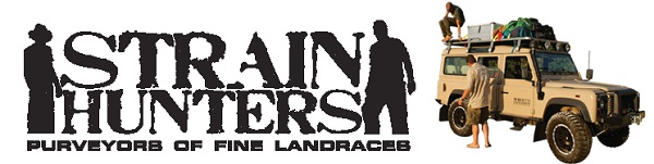 Strain Hunters Strain Hunters
