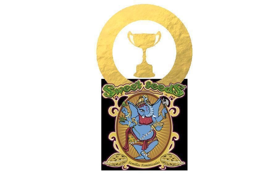 Sweet Seeds Cupwinners