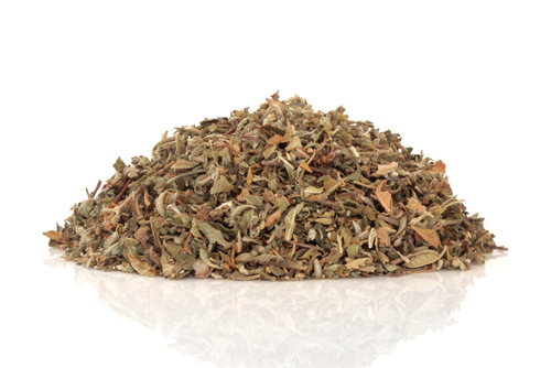 Damiana