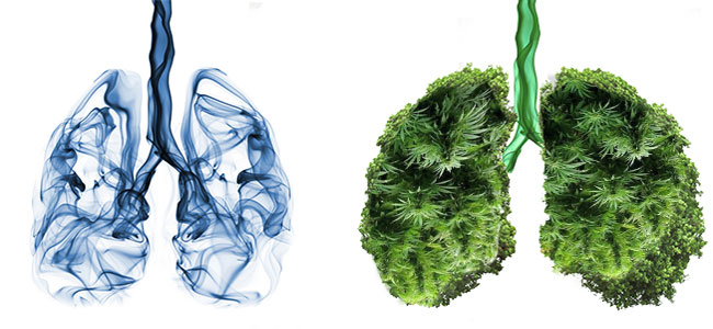 joint lungs vs vape lungs joint lungs vs vape lungs