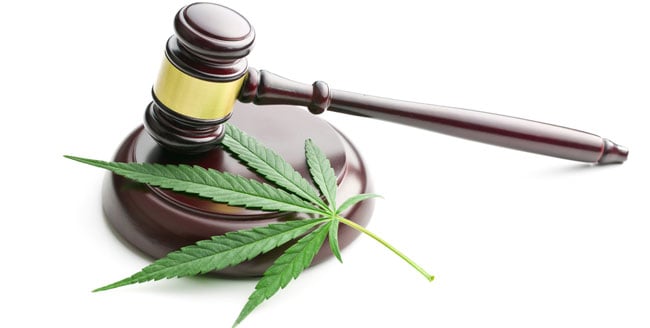 Legality cannabis Legality cannabis
