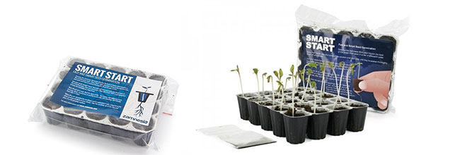 Smart start cannabis grow Smart start cannabis grow