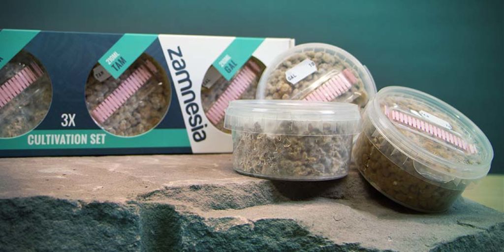 Magic Truffle Cultivation Set Manual Zamnesia