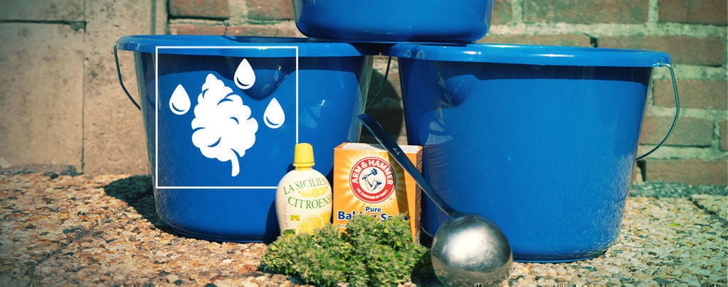 Bud Washing: What Is It and Why Should You Do It?