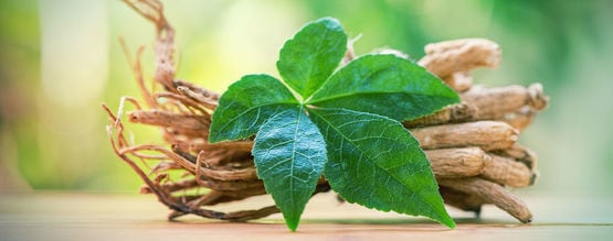 Ginseng: Everything You Need To Know