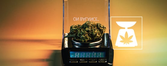 Weed Weights: Everything You Need To Know