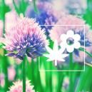 Cannabis Companion Planting: Chives