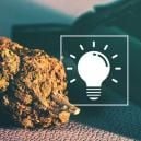 Beginner's Guide To Dry Herb Vaporizers: Anatomy And How To Use One