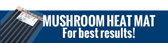 Perfect temperature Magic Mushrooms Magic Mushroom heat mat
