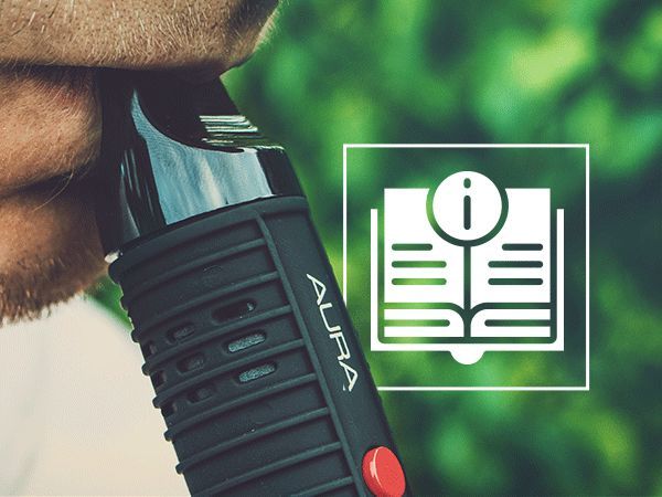 A Complete Beginner's Guide To Cannabis Vape Pens