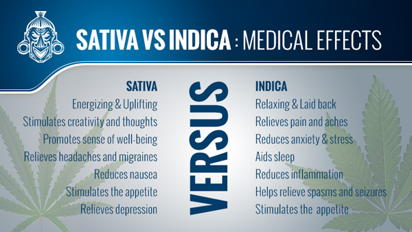 Sativa Vs Indica
