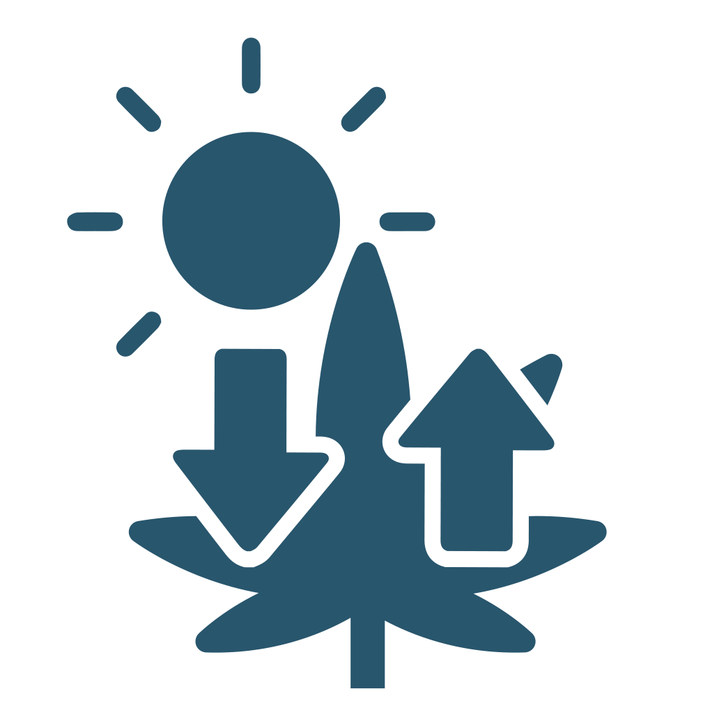 Sulphur And Cannabis Plants Cannabis Grow Guide